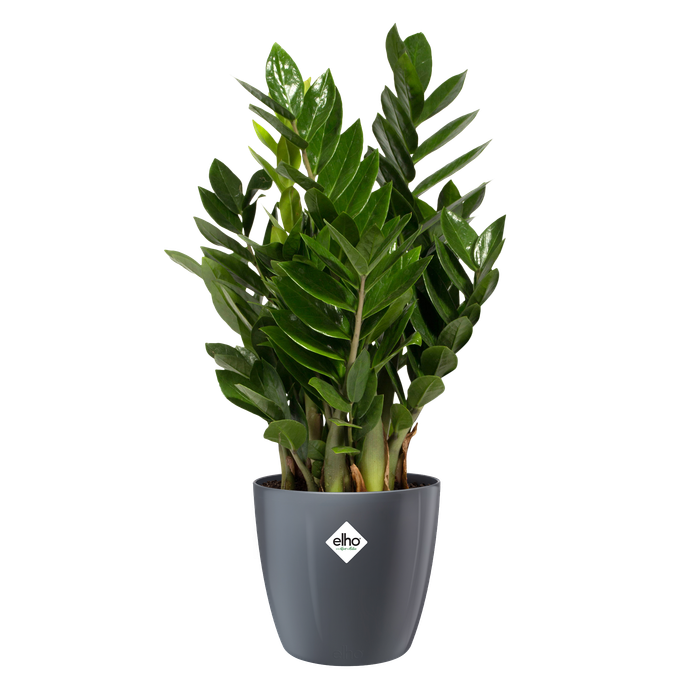 brussels diamond rund 22cm anthracite